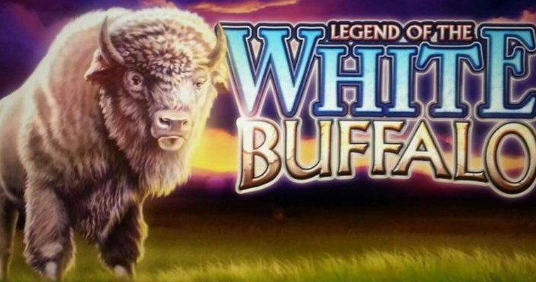 White Buffalo